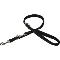 Beeztees Bz Nyl Laisse De Conduite Double 200x (Chien, Promenade, Sport canin)