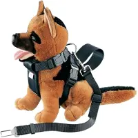 Nobby Harnais avec ceinture de sécurité (XL, Chien, Général)