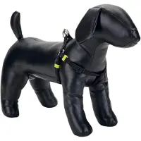 Beeztees BZ NY GESCH UNI NOIR 26-40X1 (Chien, Général)