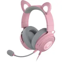 Razer Casque avec microphone RZ04-04510200-R3M1
