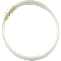 Philips MASTER TL5C Circulaire 60W - 840 Blanc Froid | 38cm
