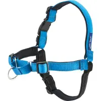 Petsafe Harnais Deluxe S - Bleu Océan - Pour Chien