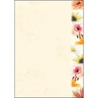 Sigel Document de motivation (A4, 90 g/m²)