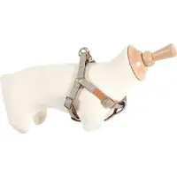 PADU Harnais pour chien MAYFAIR réglable beige 25mm Zolux
