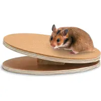 Karlie Disque d'exercice Bogie Disc Jouets pour rongeurs Bois naturel diam. 25 cm