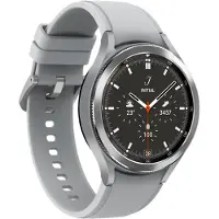 Samsung Galaxy Watch4 Classic - 46 mm - argent - montre intelligente avec bracelet Ridge Sport - élastomère de fluor - argent