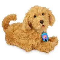 Famosa Moji The Labradoodle Educational Toy Multicolore