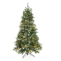 Evergreen Sapin de Noël Sherwood Épicéa avec LED 210 cm de haut Ø 134 cm