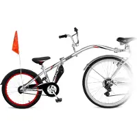 WeeRide Remorque vélo Co-pilot Argent Max 35 kg Garçon Argent Max 35 kg