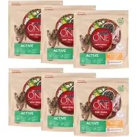 Purina One 12x1,5kg Mini Active poulet, riz - Croquettes pour chien