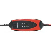 Procharger Chargeur de batterie avec option 1.000