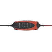 Procharger 1.000 Lithium CHARGEUR DE BATTERIE