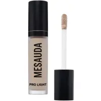 Mesauda Beauty Pro Light correcteur hydratant teinte W20 4 ml