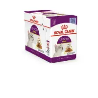 Royal Canin Sensory Smell Gravy 85g Wet Cat Food 12 Units Multicolore