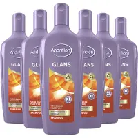 Unilever 6x Andrélon Shampoo Glans 450 ml