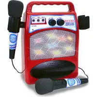 Bontempi Amplificateur avec microphones dans une boîte 36674