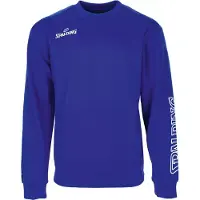 Spalding Team Ii Crew Sweatshirt Bleu 140 cm Enfants