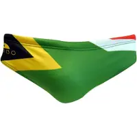 Turbo South Africa Swimming Brief Vert M Homme