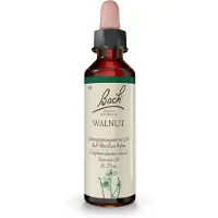 Nelsons GmbH Fleurs de Bach Original n° 33 Walnut Noyer gouttes, 20 ml de solution