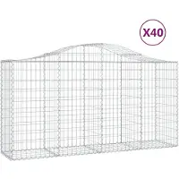 vidaXL Gabions avec arc surélevé 40 pcs 200x50x100/120cm Fer galvanisé