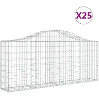 vidaXL Gabions avec arc surélevé 25 pcs. 200x30x80/100cm Fer galvanisé