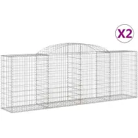 vidaXL Gabions avec arc surélevé 2 pcs. 300x50x100/120cm Fer galvanisé
