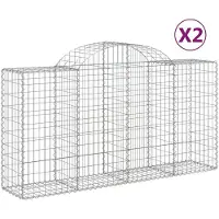 vidaXL Gabions avec arc surélevé 2 pcs. 200x50x100/120cm Fer galvanisé