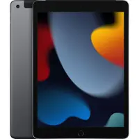 Apple iPad (2021) 10,2 Pouces 256 Go Wifi + 4G Gris Sidéral