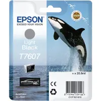 Epson T7607 (C13T76074010) Cartouche d'encre Noir clair