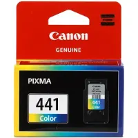 Canon Cl-441 Emb Ink Cartridge Multicolore