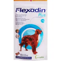 Vetoquinol Plus pour grand chien (à partir de 10 kg)
