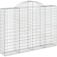 vidaXL Gabion avec arc surélevé 200x30x140/160 cm Fer galvanisé