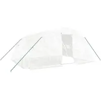 vidaXL Serre avec cadre en acier blanc 20 m² 5x4x2,3 m