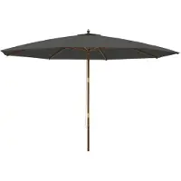 vidaXL Parasol avec mât en bois Anthracite 400x273 cm