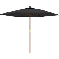 vidaXL Parasol avec mât en bois noir 299x240 cm