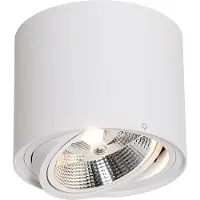 QAZQA Spot de plafond intelligent blanc rotatif et inclinable avec Wifi GU10 111mm - Rondoo Up