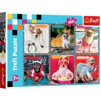 Trefl Puzzle Merry Dogs 200 éléments 13279