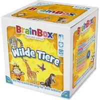 Carletto Deutschland BRAIN BOX Joue à être malin à partir de 1 joueur Jeu éducatif Jouet éducatif