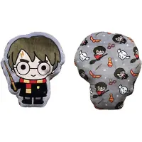WTT Coussin - Harry Potter