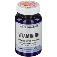 Hecht Pharma GmbH Geschäftsbereich Handelsware GALL PHARMA, Vitamine B6 100 mg, gélules GPH, boîte de 90 gélules