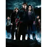 SD Toys Harry Potter - Impression En Verre - Group Hp4 - 30x40 Cm