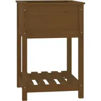 vidaXL Jardinière avec étagère Marron miel 54x54x81 cm Bois de pin