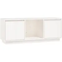 vidaXL Armoire TV Blanc 110,5x35x44 cm Pin massif