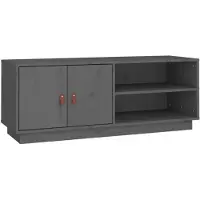 vidaXL Armoire TV Gris 105x34x40 cm Pin massif