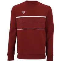 Tecnifibre Team Sweatshirt Rouge 10-12 Years Garçon