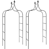 vidaXL Arches de jardin 2 pcs Noir 120x38x260 cm Acier
