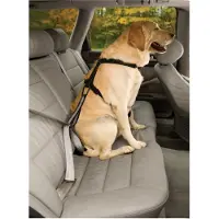 Kurgo Seatbelt Tether w/Carabiner Ceinture de voiture Affranchissement Noir
