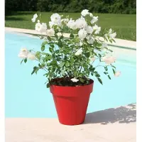 Riviera Pot de Plante Circulaire Riviera Rouge Intense Ø 49 x 45 cm