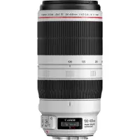 Canon EF 100-400mm F4.5-5.6 L IS II USM