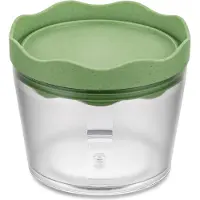 Koziol Boîte de Stockage Koziol Prince S 300 ml Vert